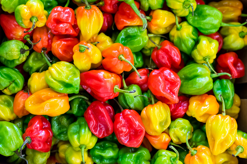 Chilies & Peppers